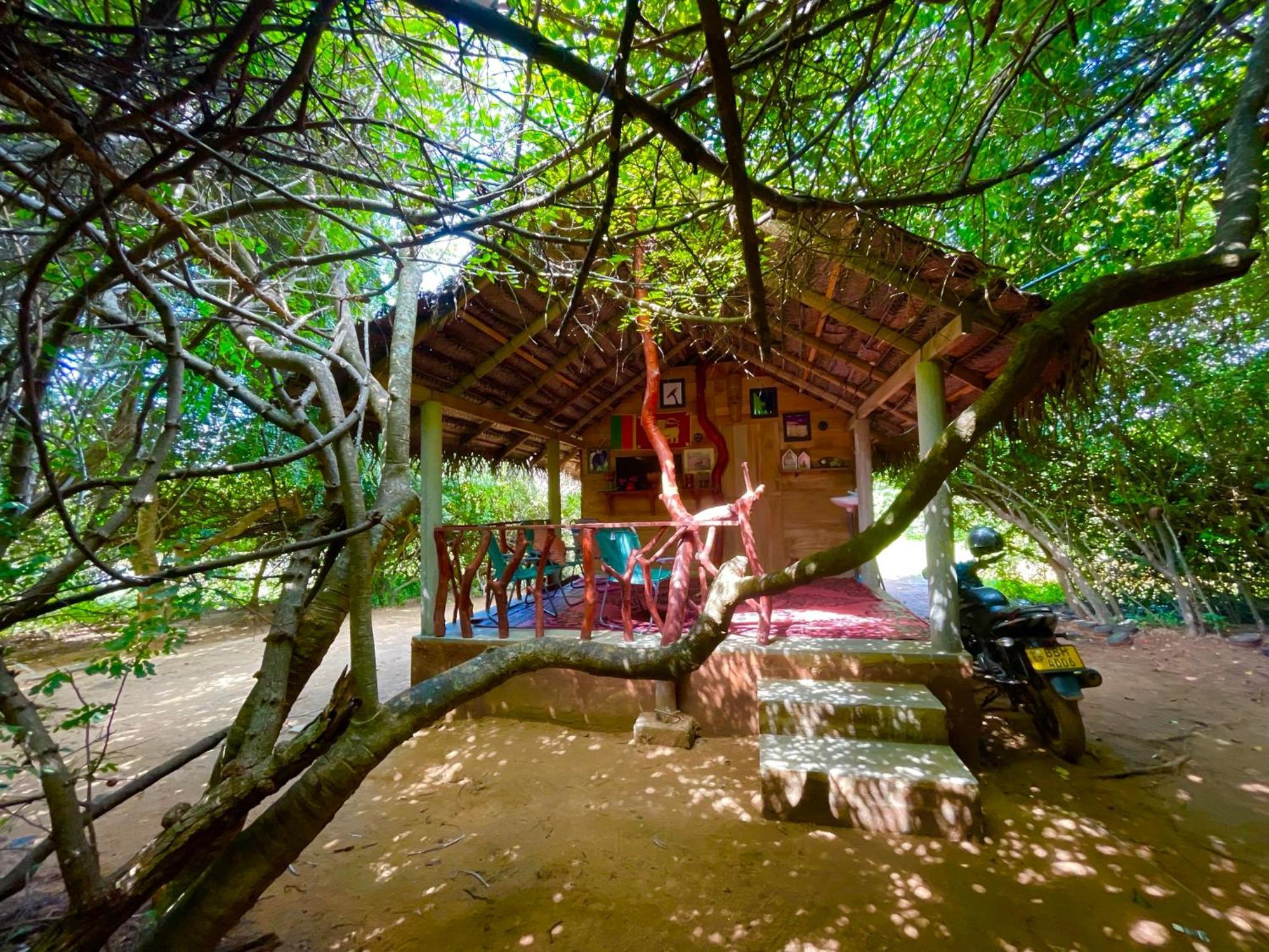 Yala Podi Hoona Bush Camp Hotel Exterior photo